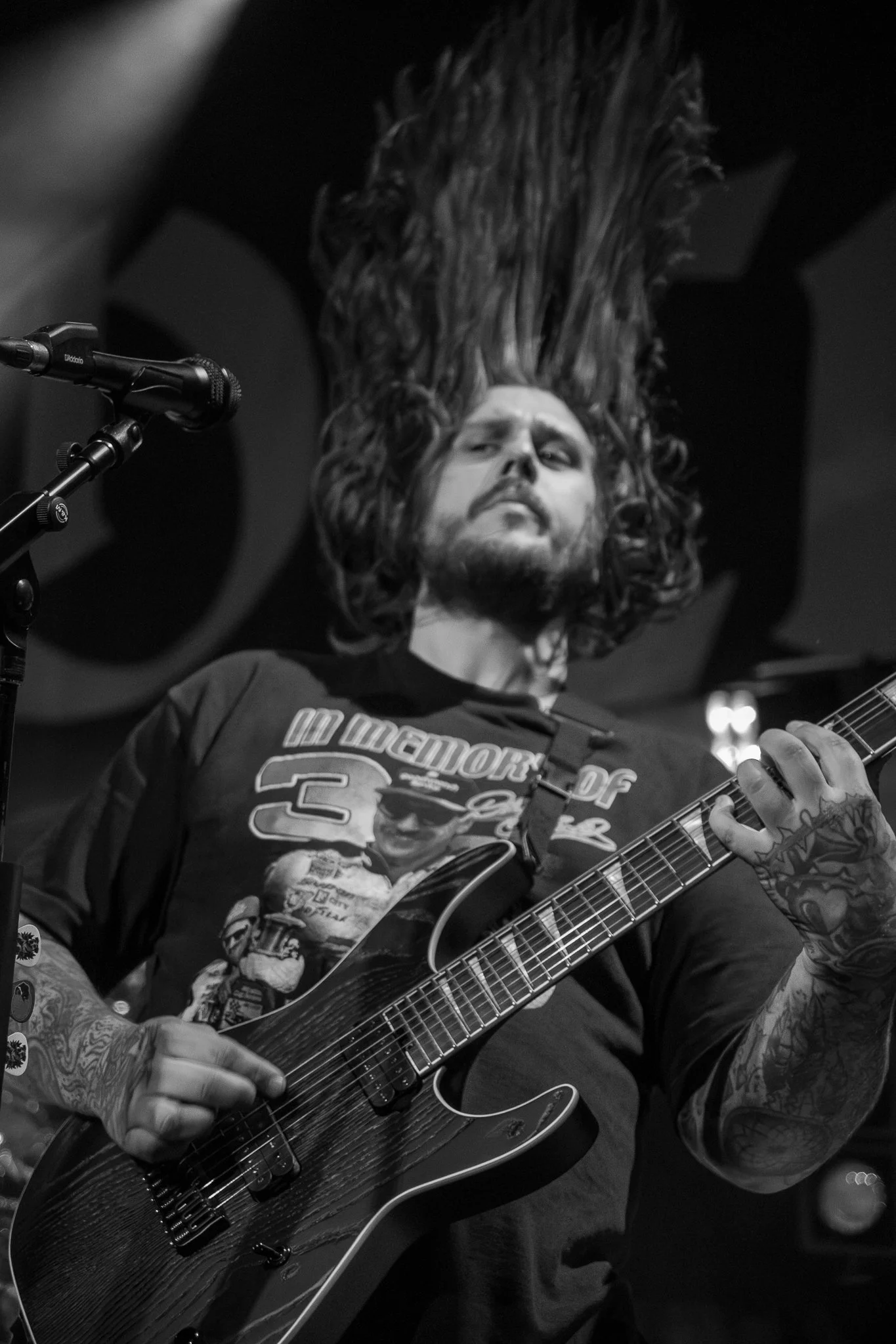 Like Moths To Flames-01.jpg