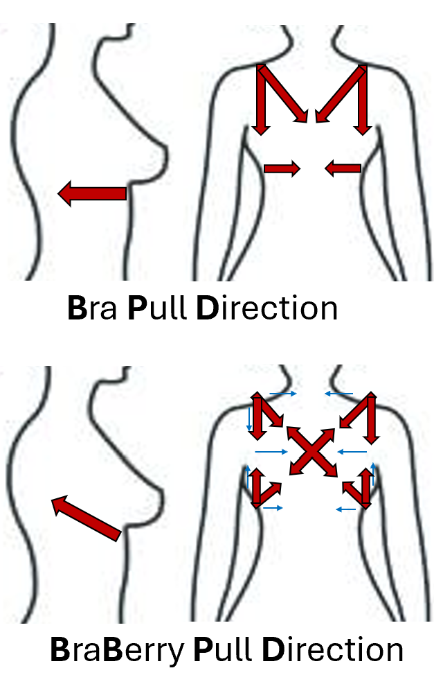 comparison diagram of the push and pull of regular bra straps and the braberry straps.
