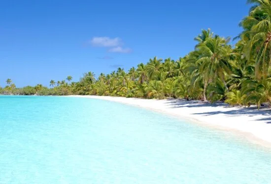 Tropical beach with white sand and turquoise water, lined with palm trees under a blue sky.
