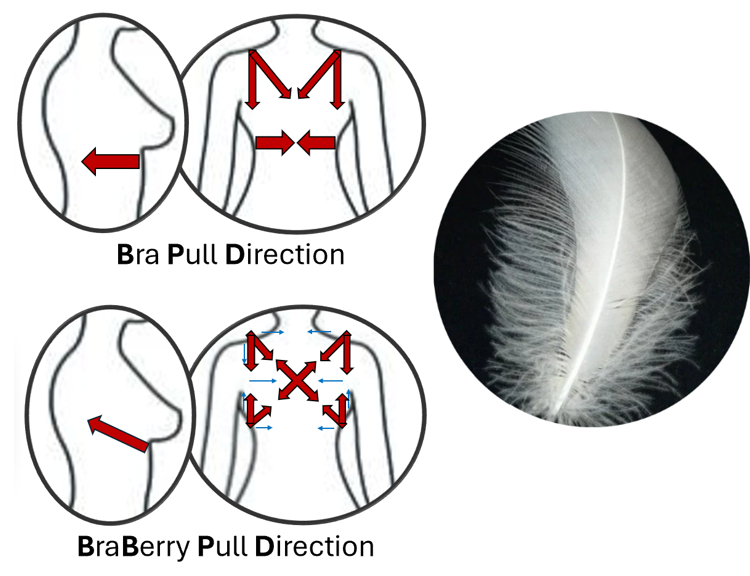 comparison diagram of the strap pill and push direction of the bra vs the braberry