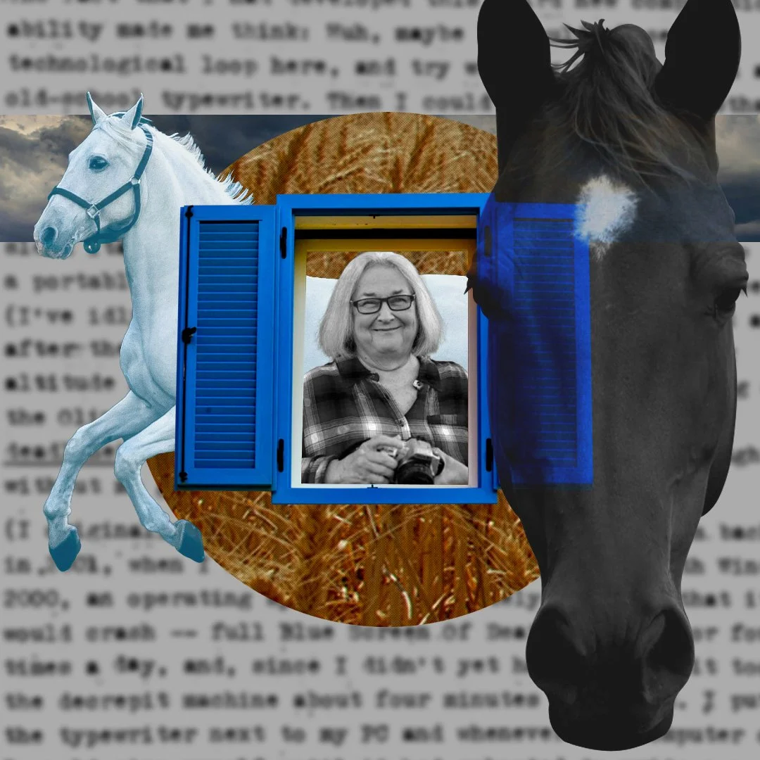 Stories on the Front Porch: The World of Donna Campbell Smith
