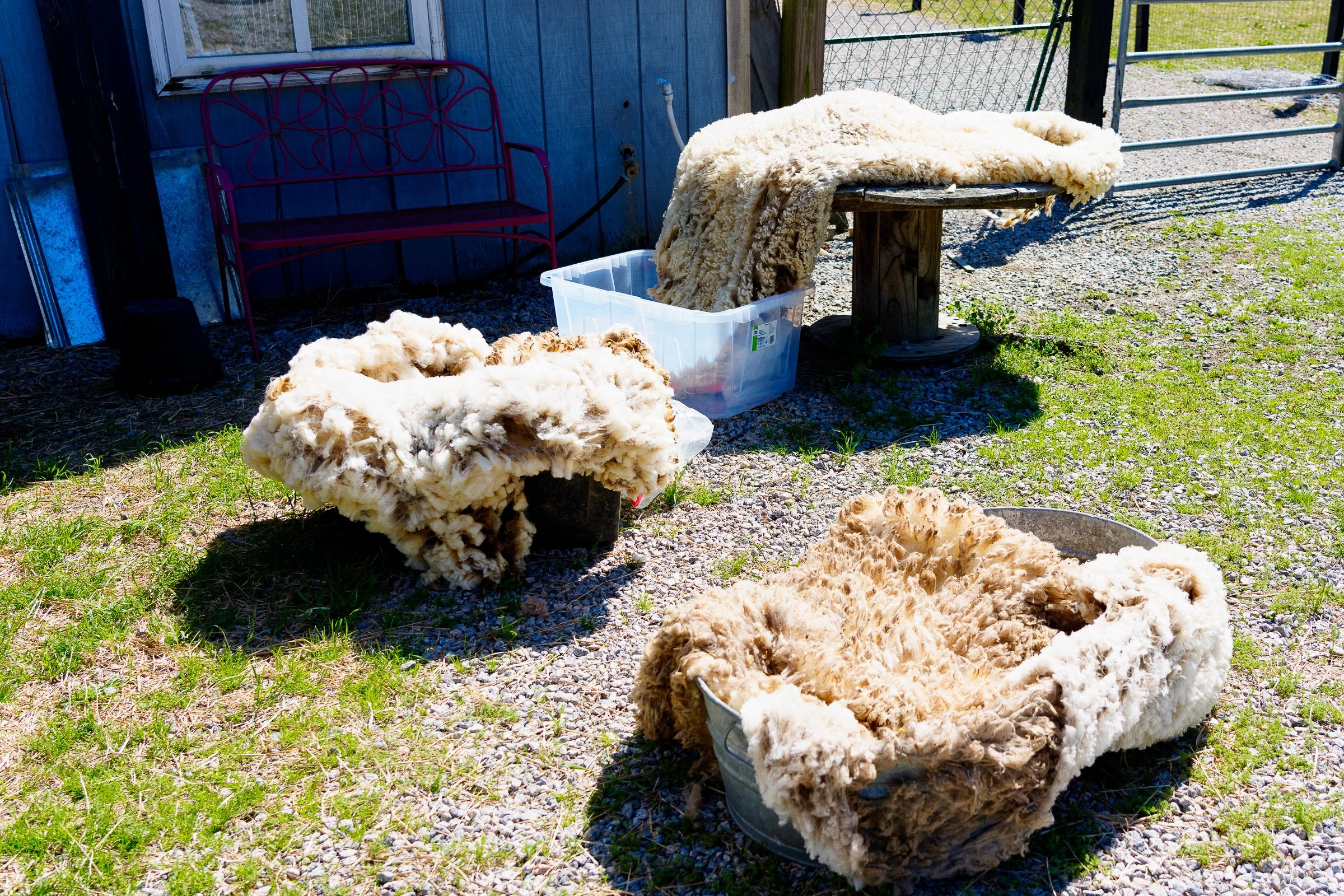 two-dachshund-farm-drying-pelts.jpg