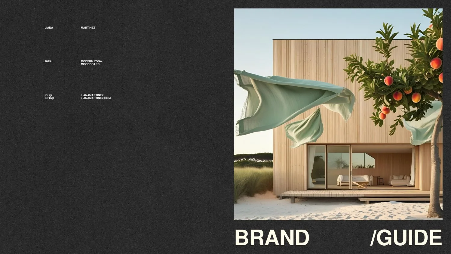 branding guide photo