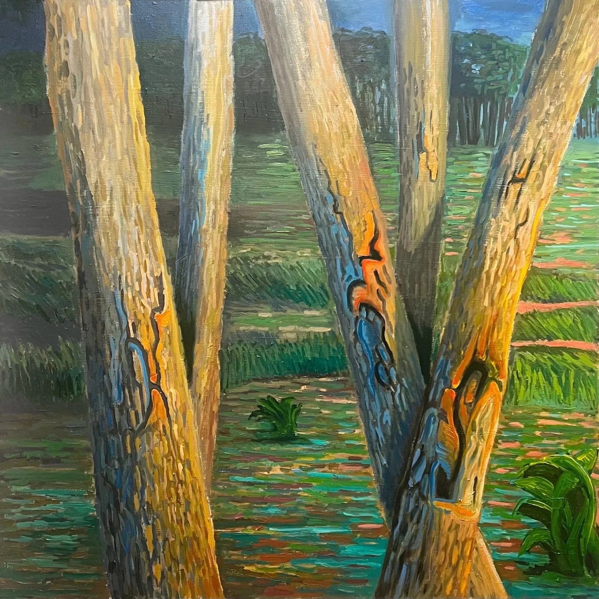  Abstract Trees  
2023-present
Oil on Canvas
36" X 36"