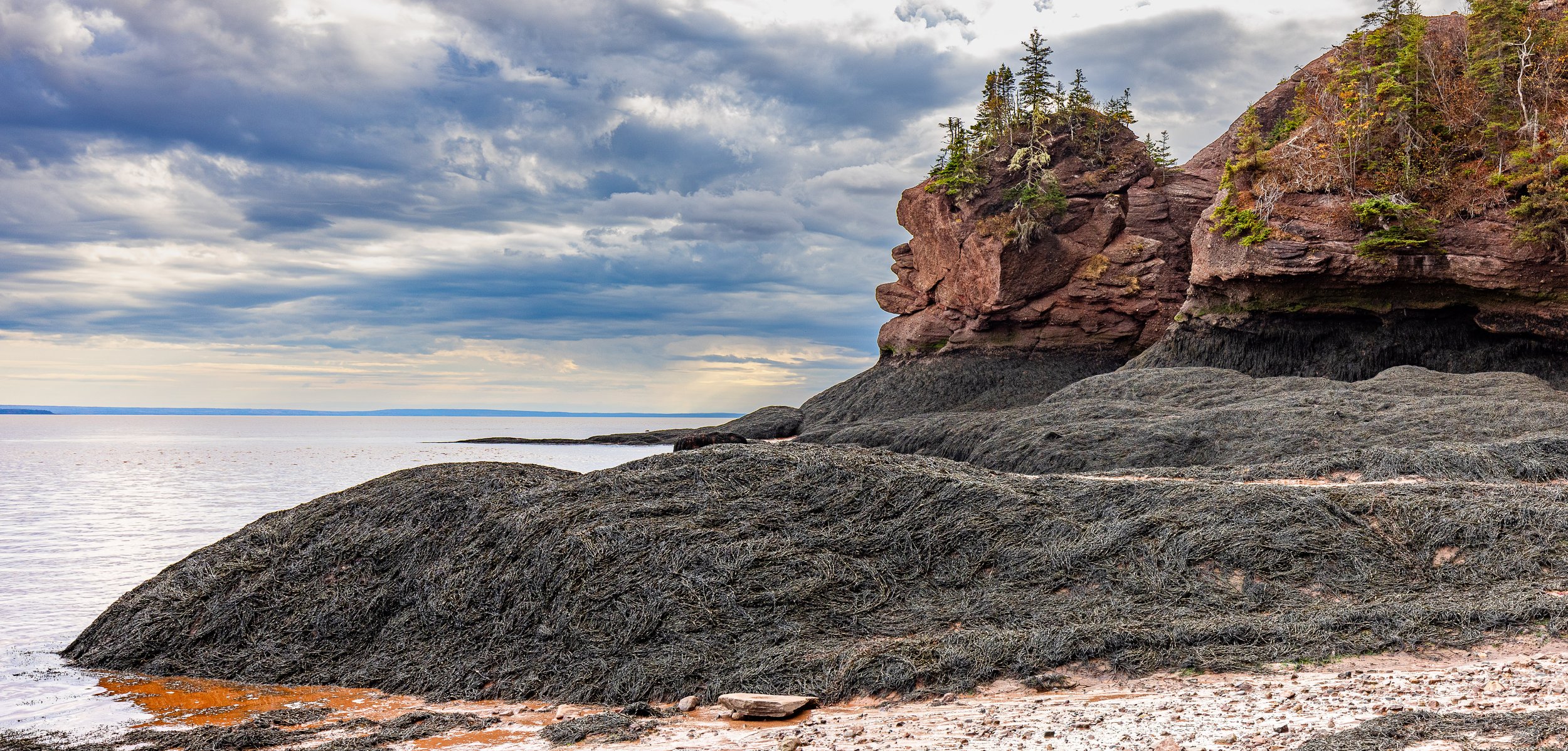 Bay of Fundy #1, 12"x18"  $110.00