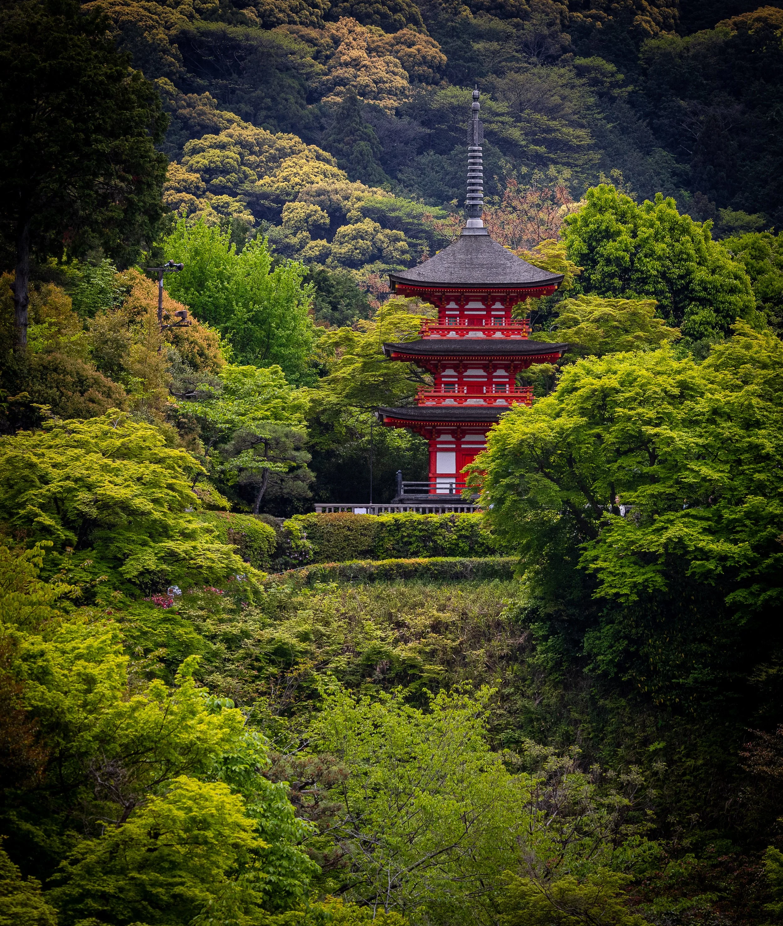 Kyoto Japan,  12"x18"  $110.00
