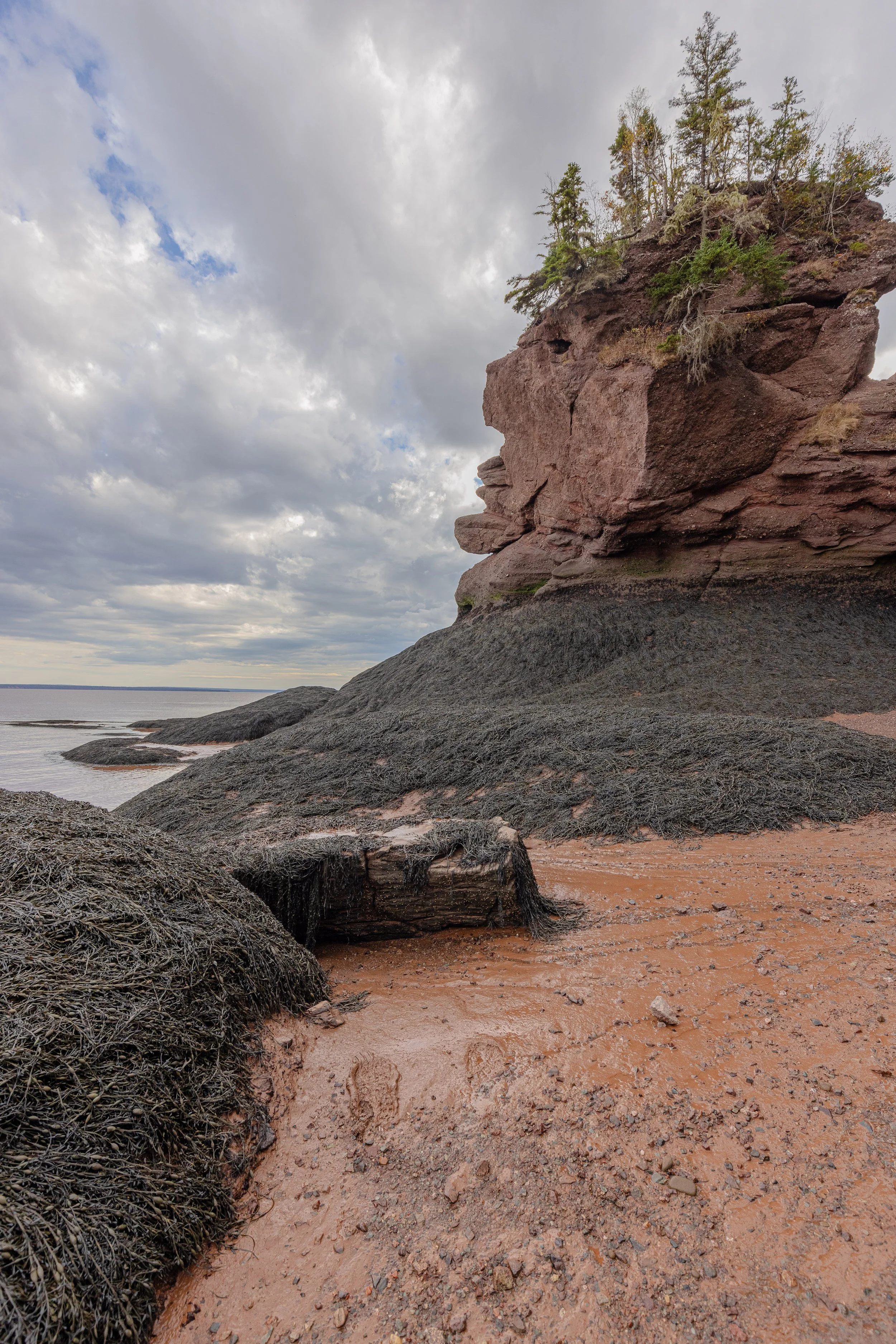 Bay of Fundy #2, 12"x18"  $110.00