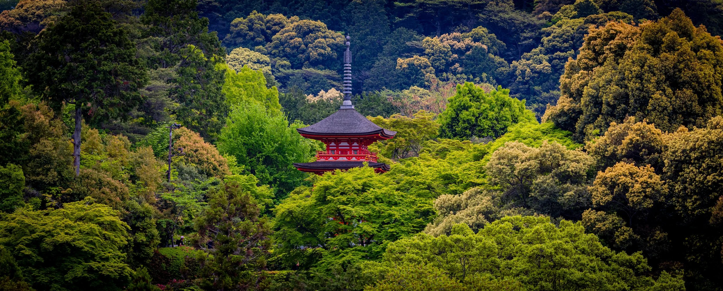 Kyoto Japan, 6"x18"  $90.00