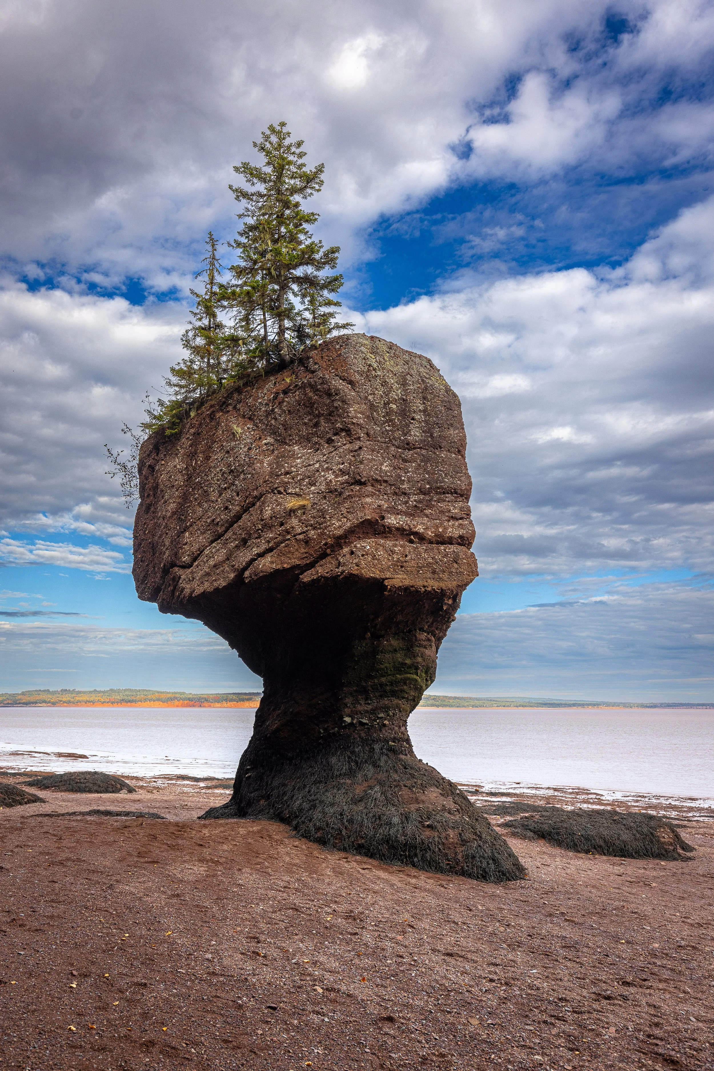 Bay of Fundy #3 12"x18"  $110.00