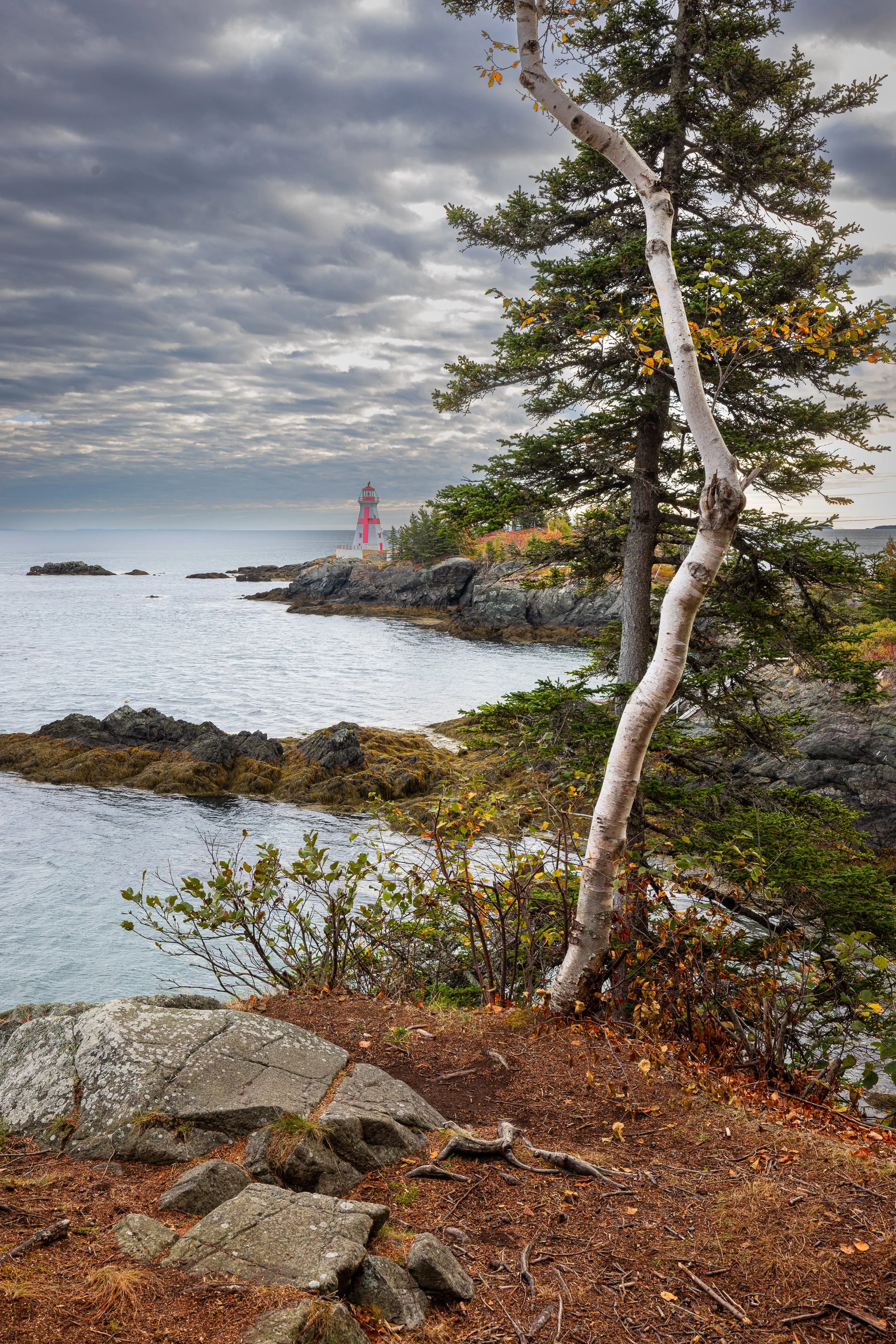 Campobello #2, 12"x18"  $110.00