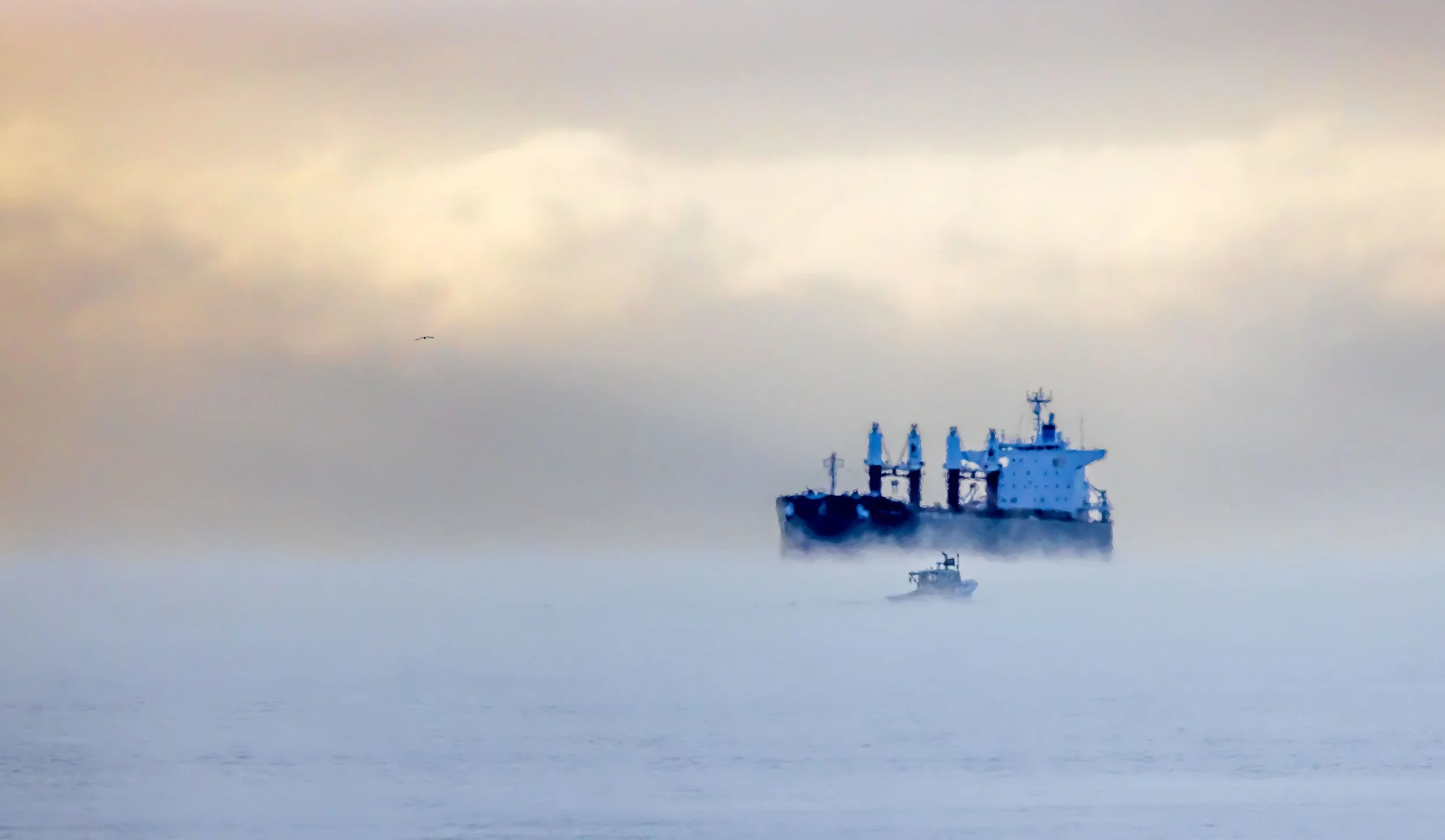 Ghost Ships, 12"x18"  $110.00