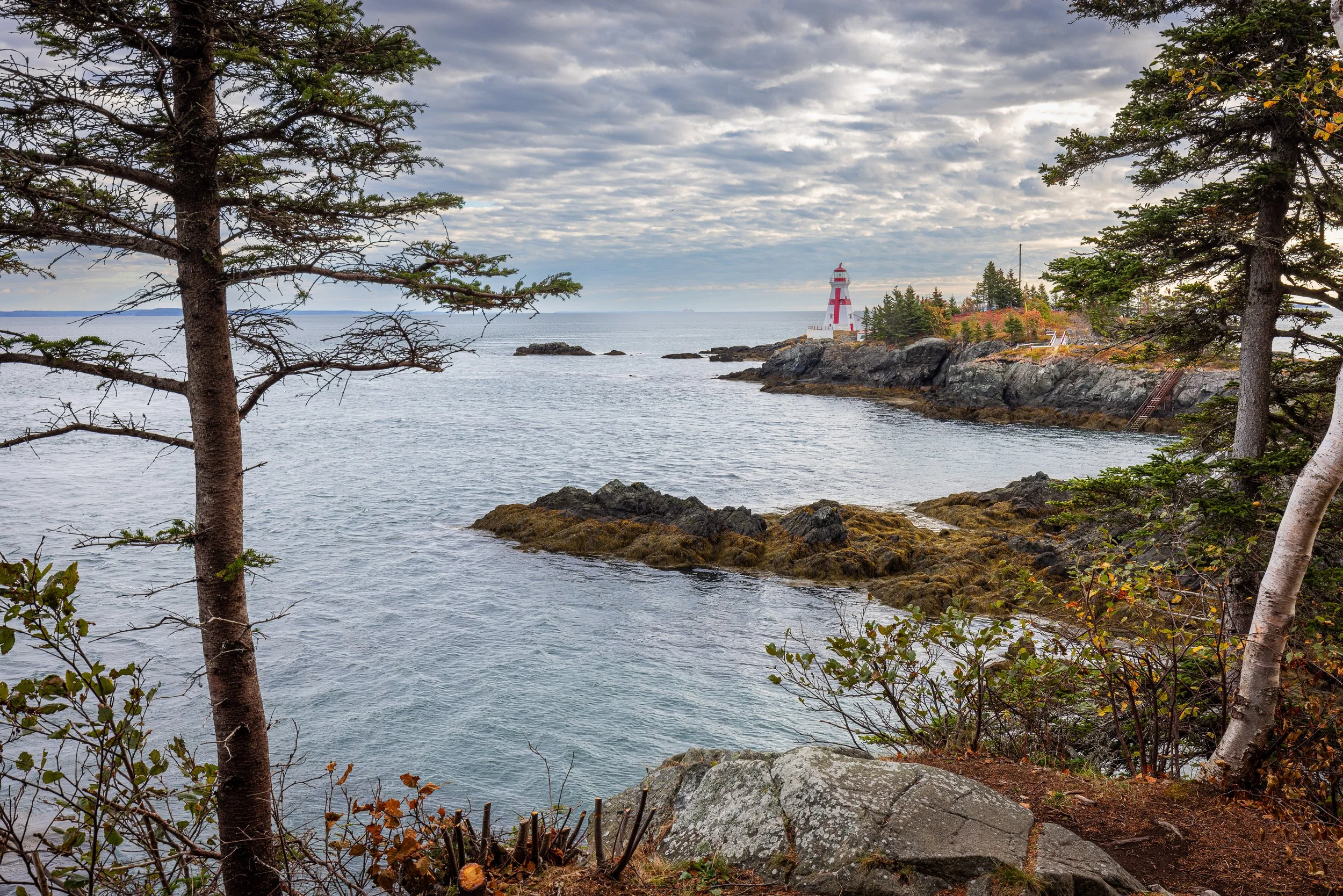 Campobello #1, 12"x18"  $110.00