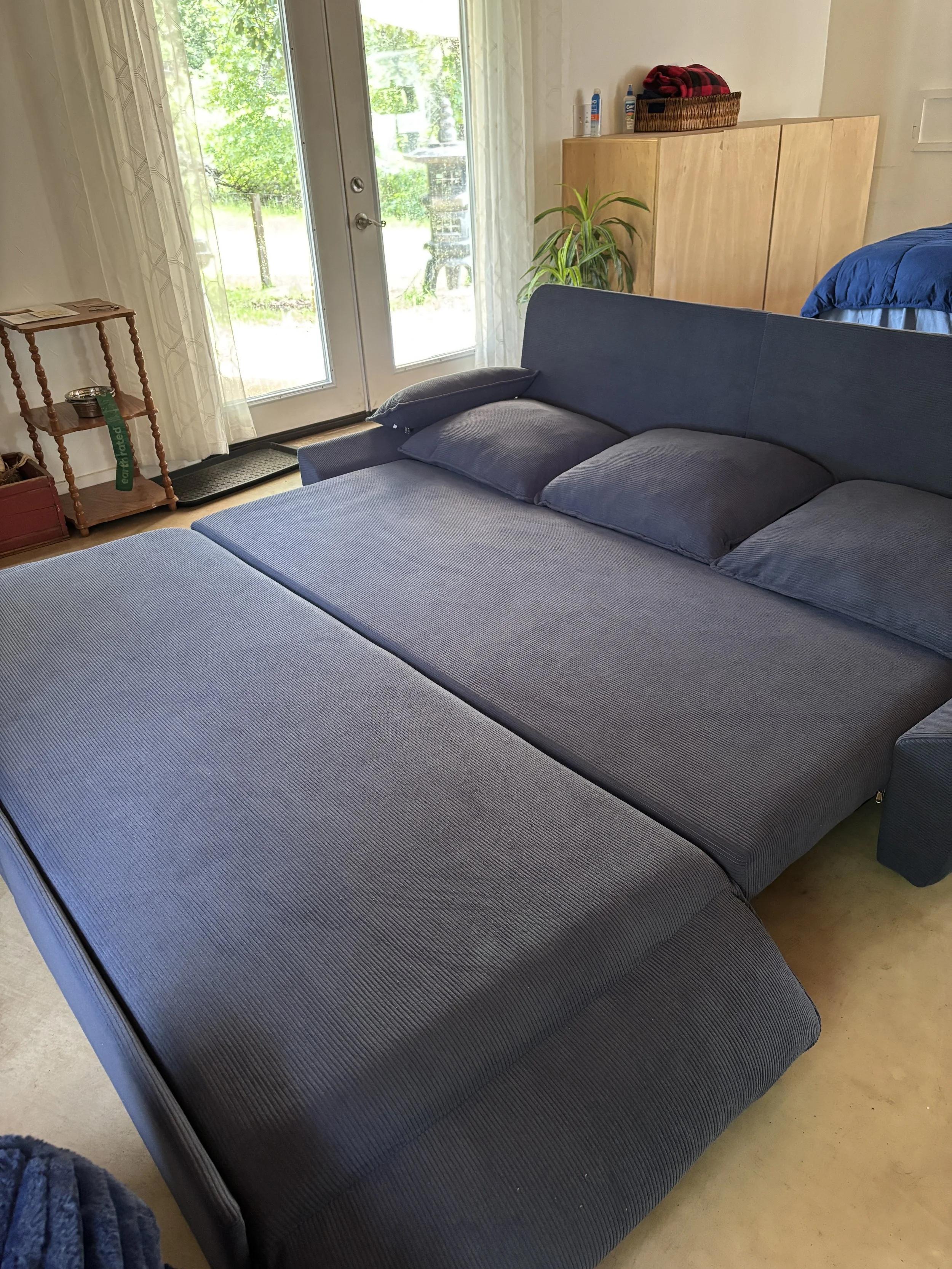 A bedroom with a blue couch bed, wooden cabinet, potted plant, and glass door opening to a green outdoor space.