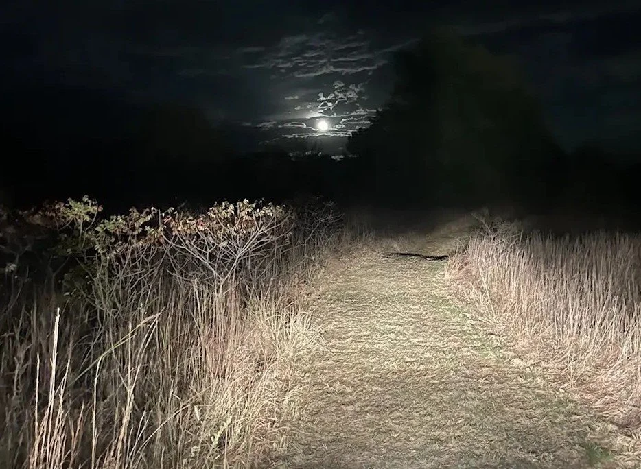 Nighttime scene of a dirt trail with tall grass on both sides, illuminated by a bright moon partially obscured by clouds in a dark sky.