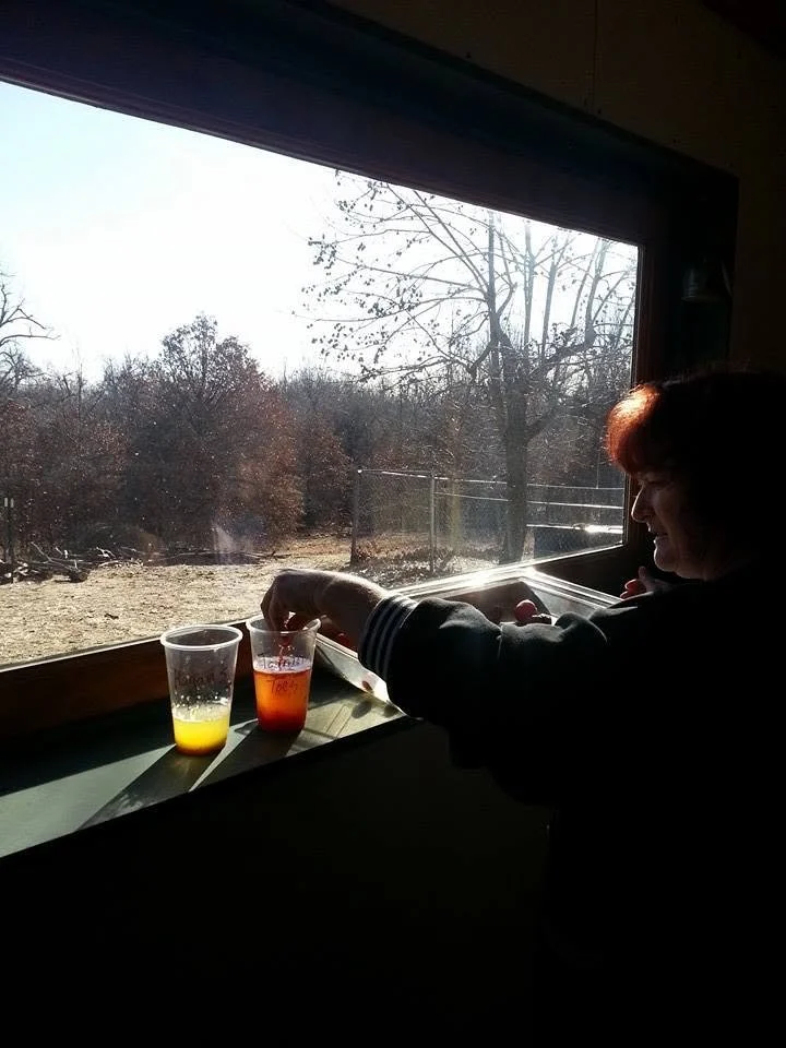 Tchinina is by a window, filling glasses with colored beverages.