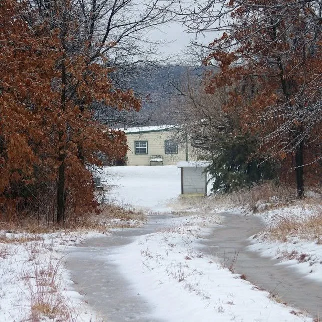 Snow-covered driveway on Prairie's End land.