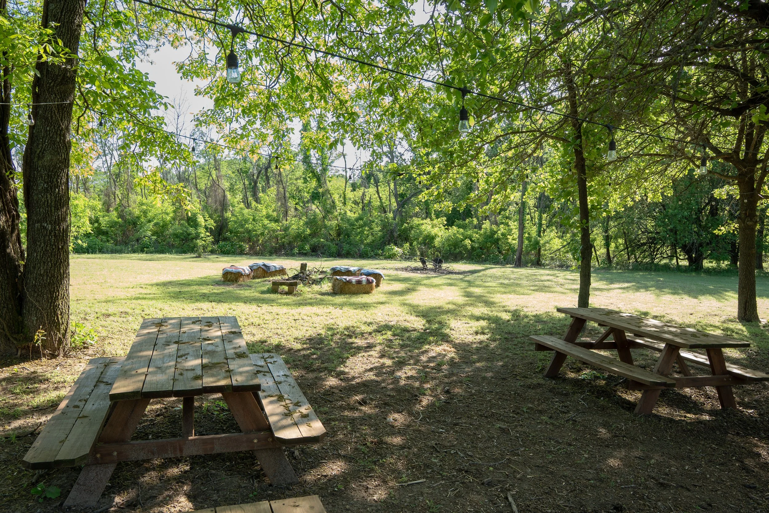 A shaded outdoor picnic area with two wooden tables and hay bales covered with blankets in the background, surrounded by trees and string lights hanging overhead.