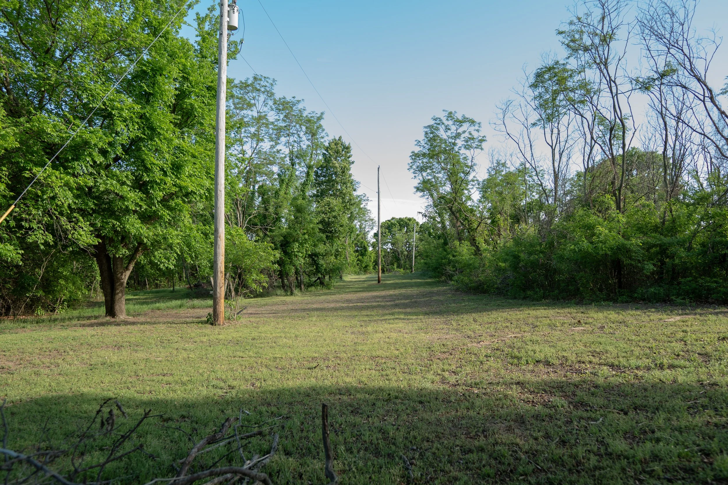 A grassy field with a row of utility poles and power lines, bordered by trees with green leaves on a clear day.