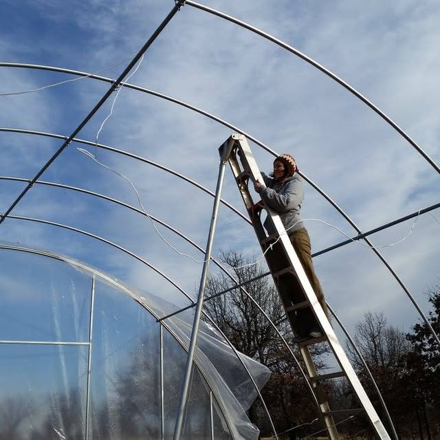 Rose working on the greenhouse.