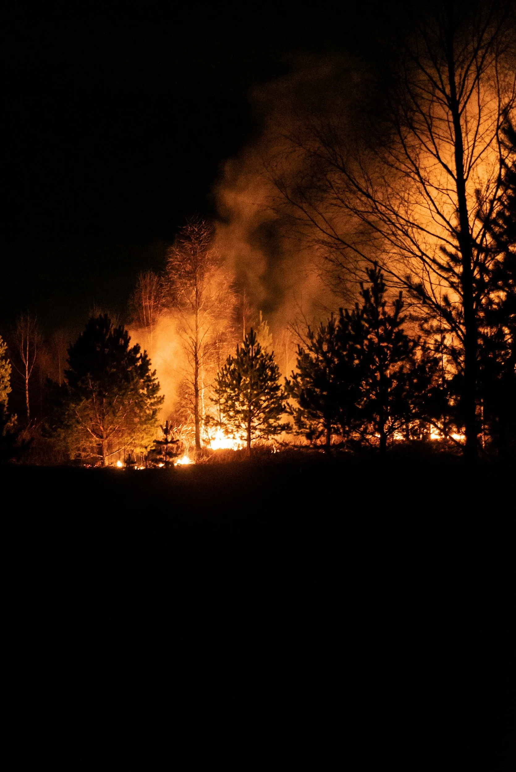 Modern Commons Party Statement on Wildfires in Northern Manitoba