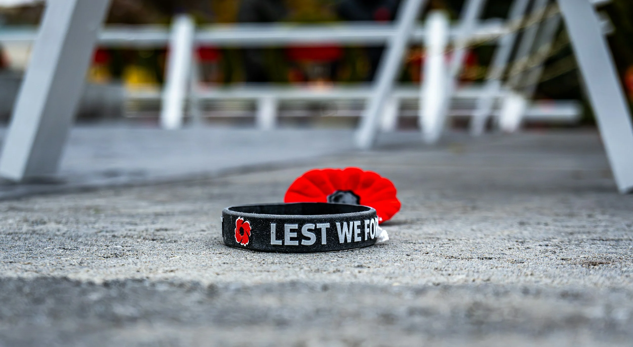 Remembrance Day Statement from the Modern Commons Party of Canada.