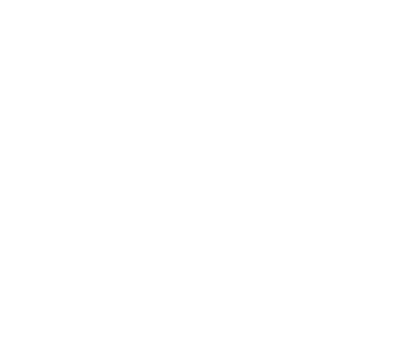The Next Level Lab