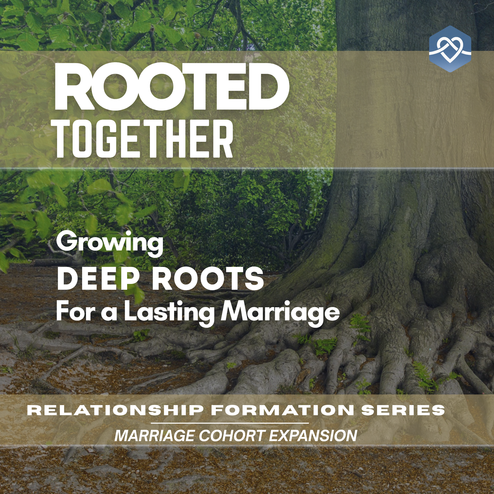 ROOTED TOGETHER.png