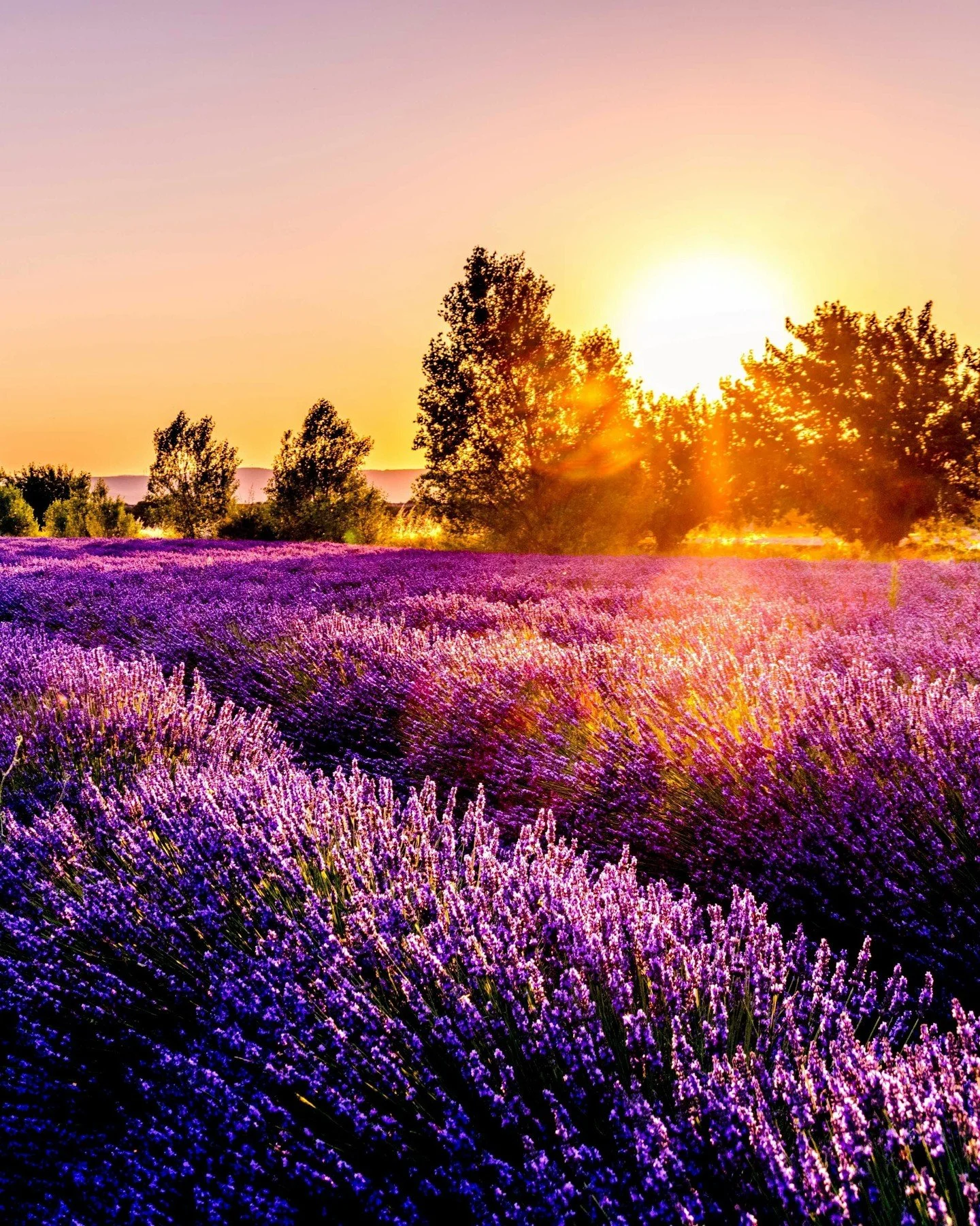 In honor of our Earth Mother. Today and everyday. Happy Earth Day from Aura Salon.

Photos: Unsplash