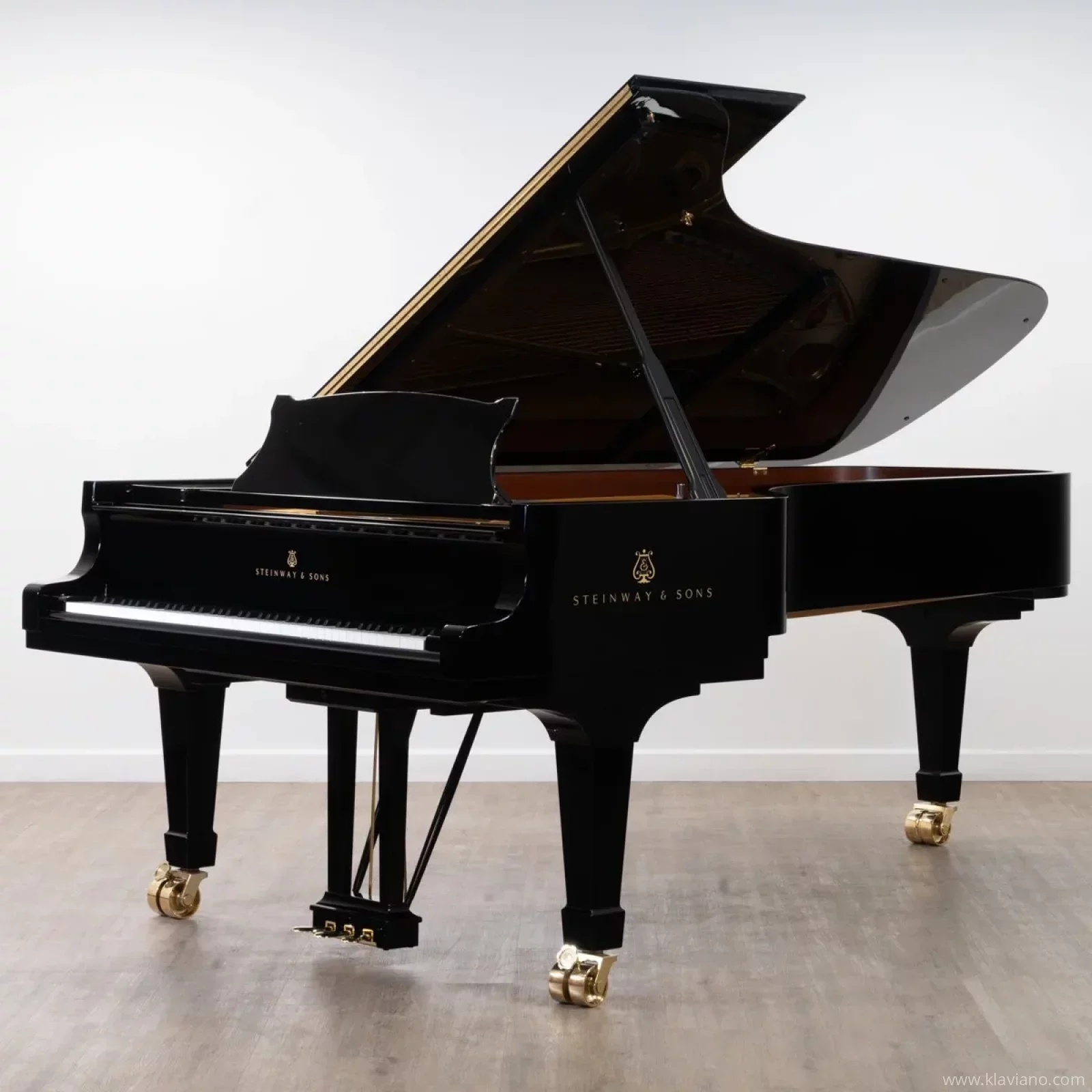 Hashtag Music Academy Performance Grand Piano_Steinway and Sons Piano Studio