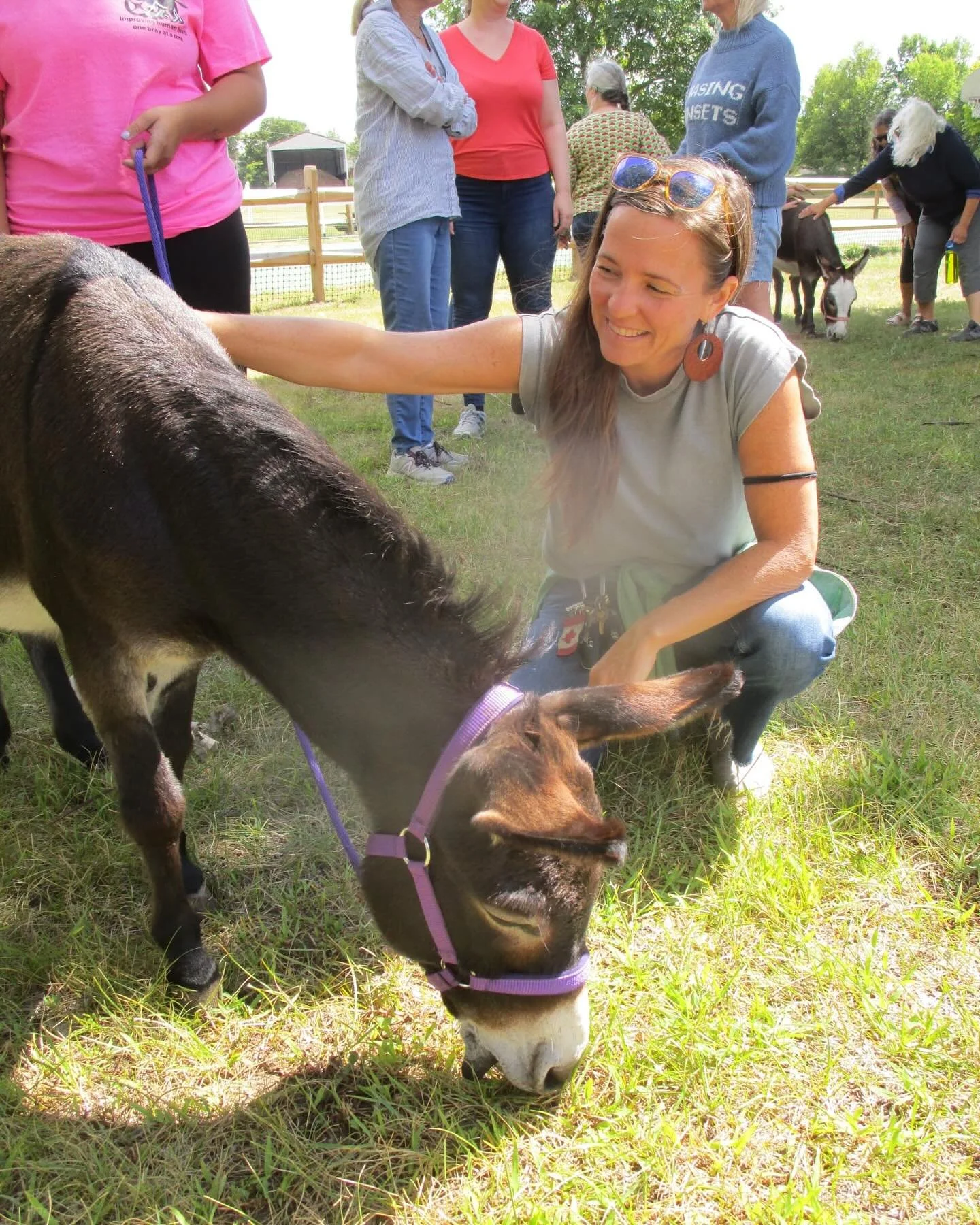 Last week I had the pleasure of meeting two wonderful therapy mini donkeys with Therapets, based out of Peru, NY. This amazing all volunteer program brings mini donkeys into facilities to improve quality of life for residents. They also run a program