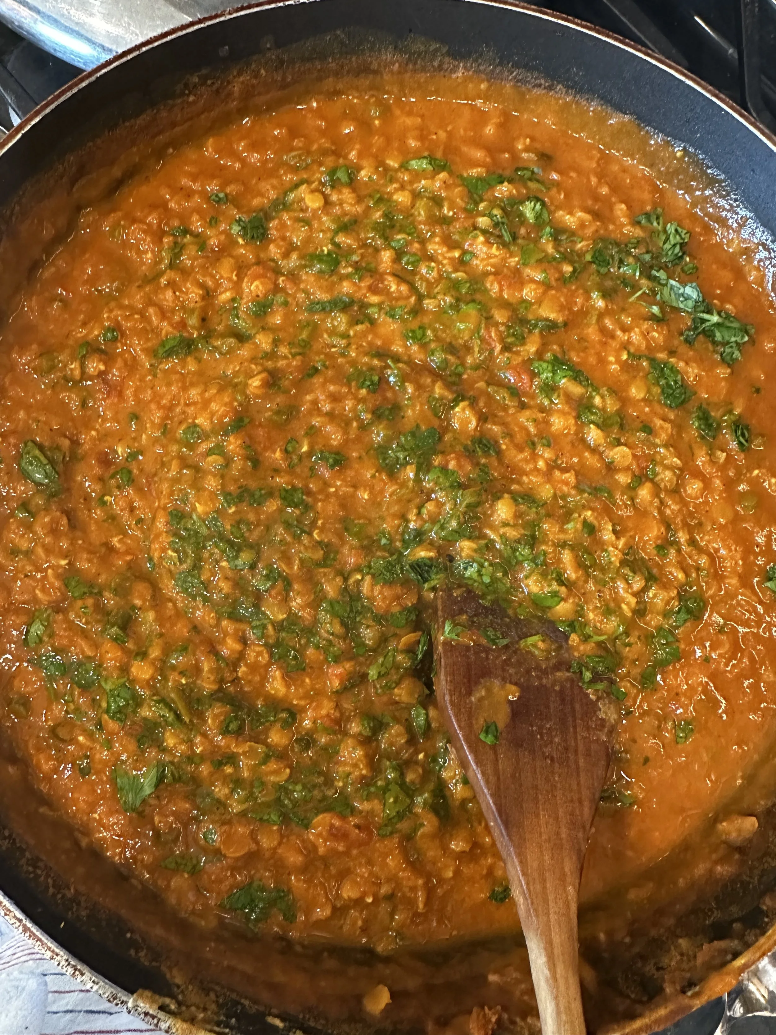 Red Lentil Curry
