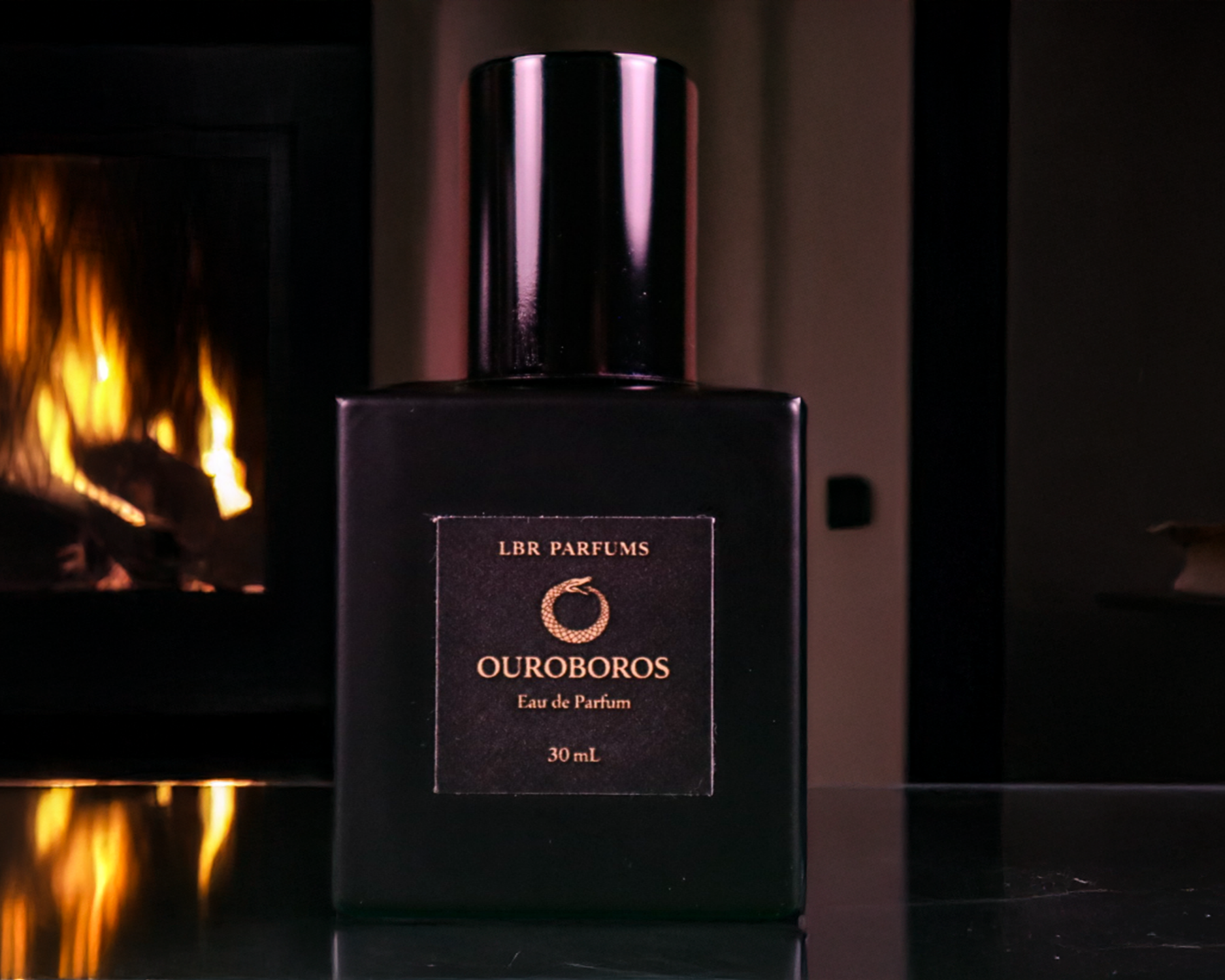 Ouroboros+fireplace_.png