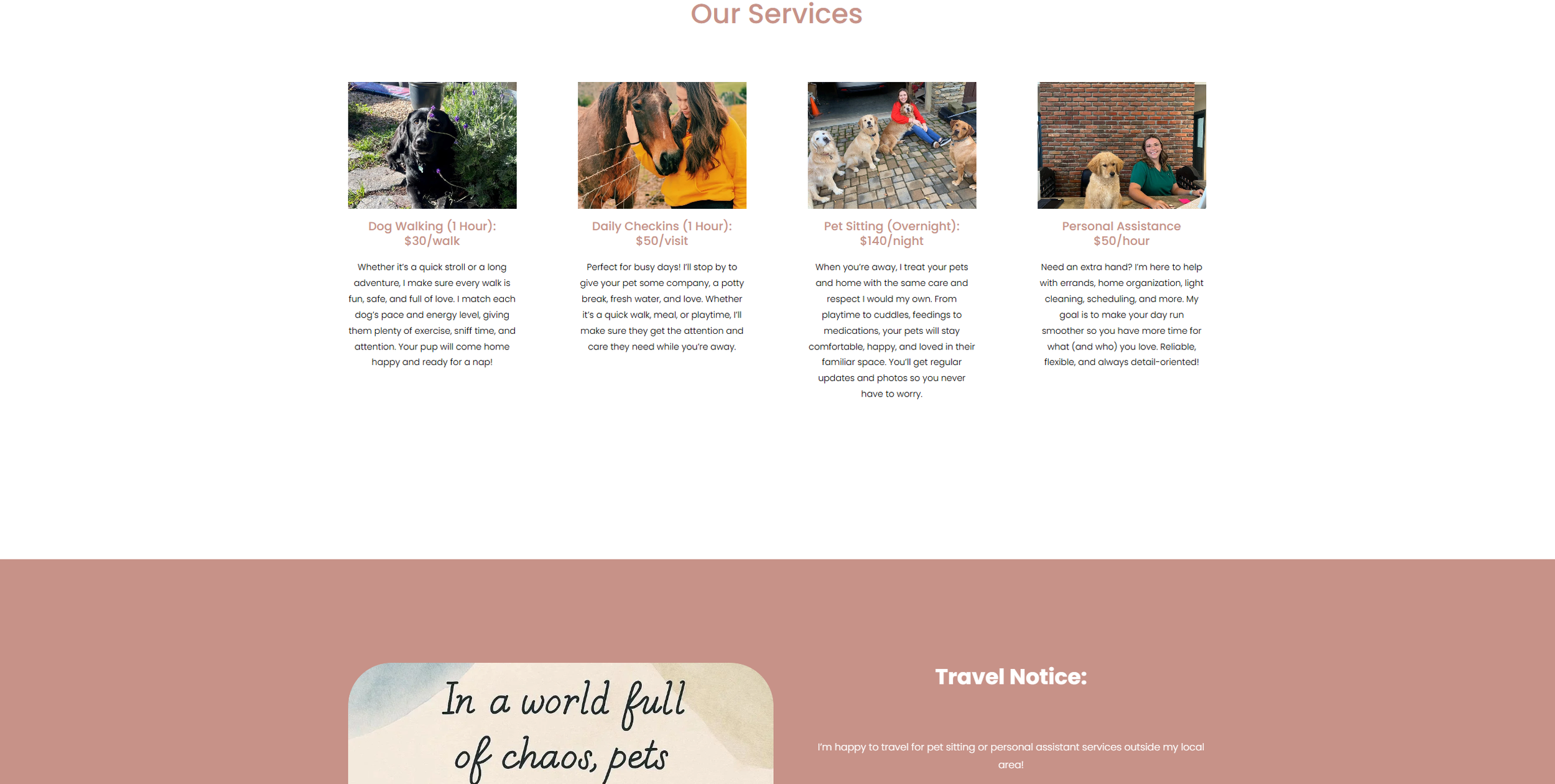 Cozy Companion 2.png