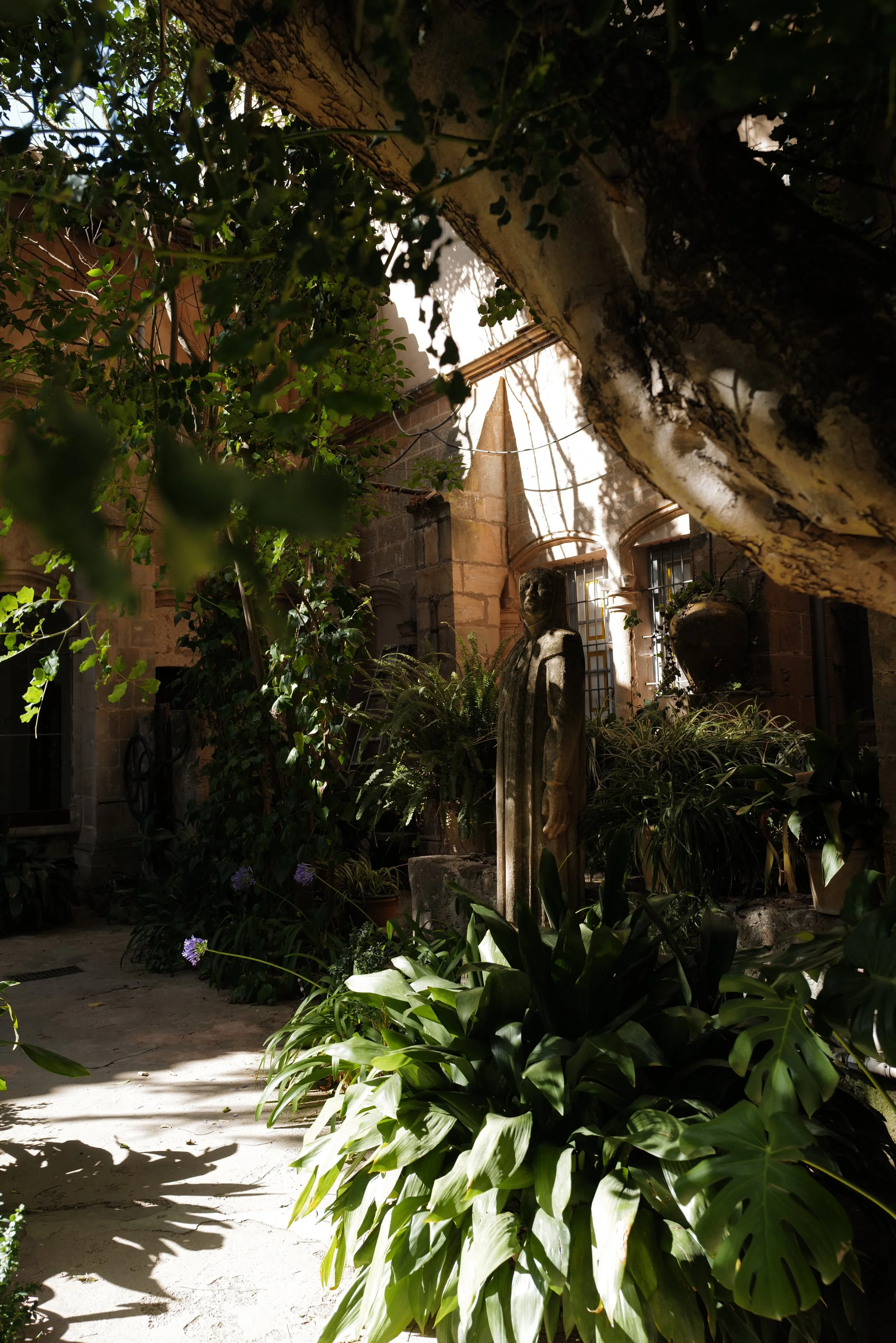 A lush garden courtyard with large leafy plants and a stone sculpture of a person. The background shows an old building with arched windows and a stone facade, partly shadowed by a large tree branch overhead.