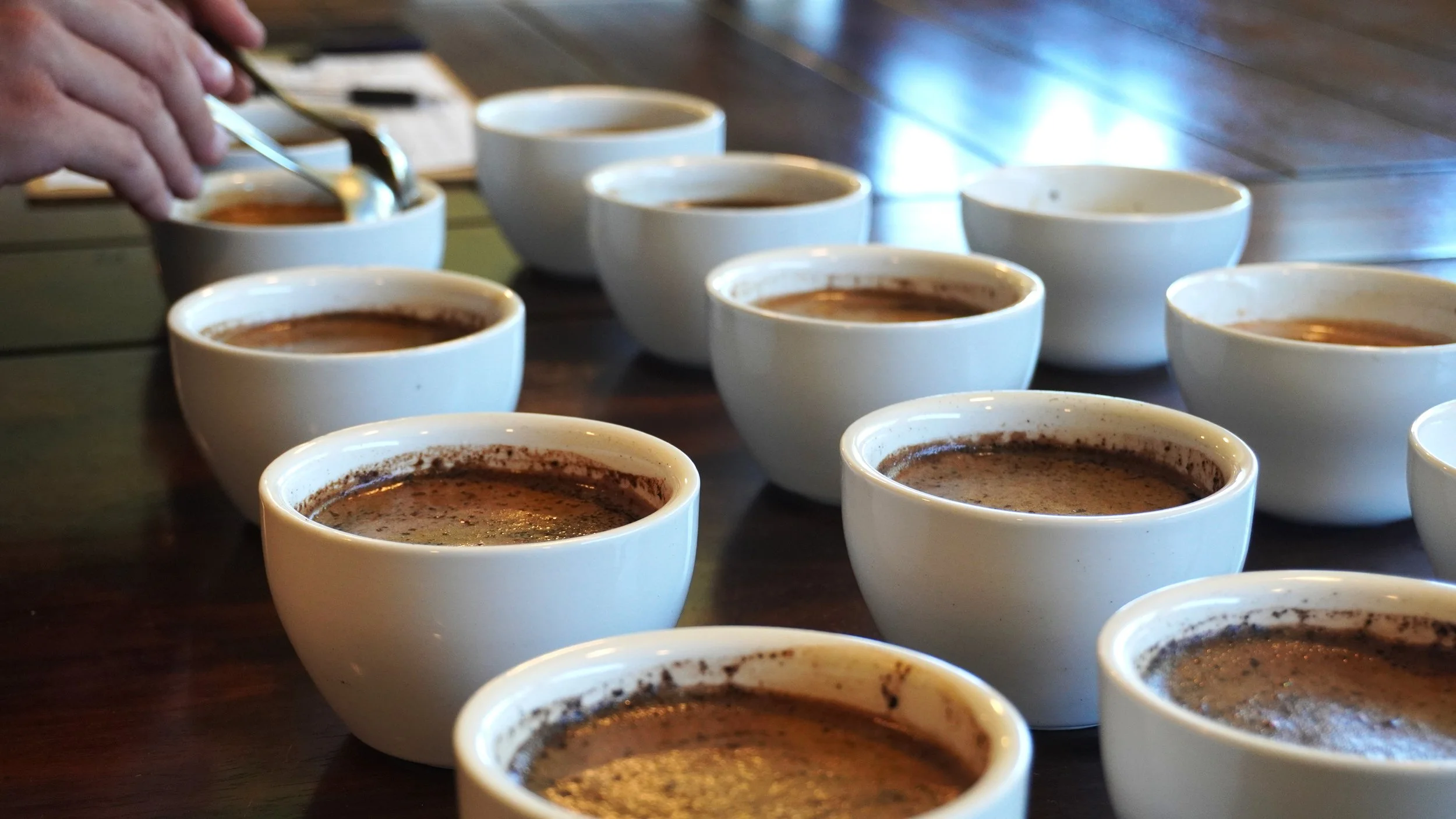 Cupping.JPG
