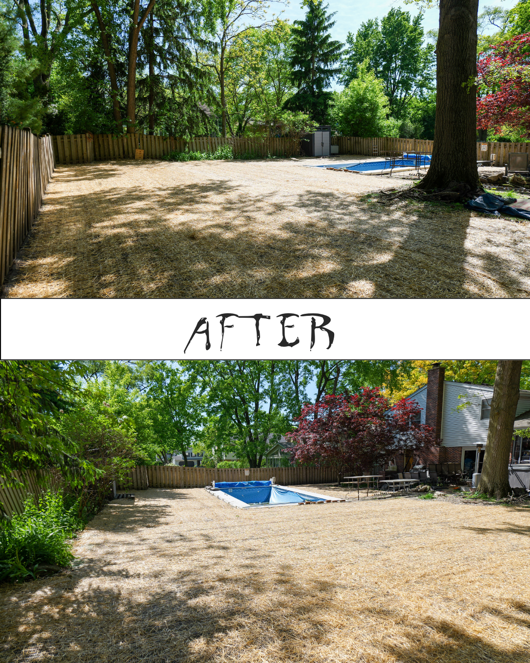 Lawn Seeding with straw blanket