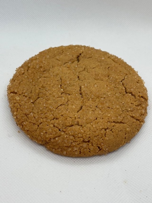 Ginger 3.jpg
