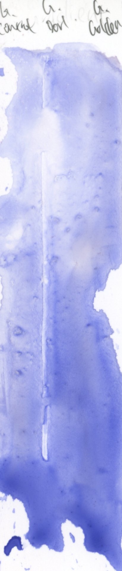 Yupo Test 4 Smalt Gradient Control.jpg