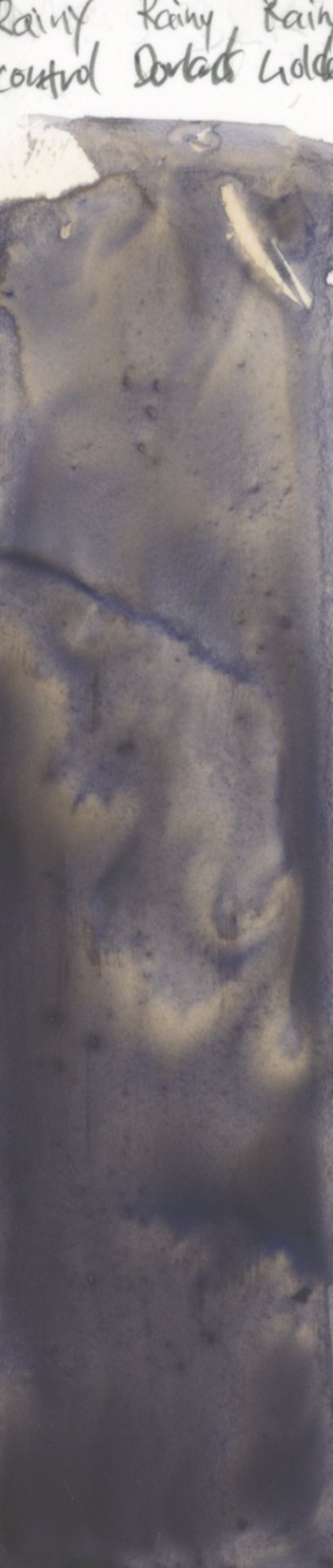 Yupo Test 7 Rainy Night Dark Granulation Control.jpg