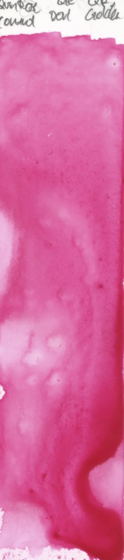Yupo Test 3 Quin Rose Control.jpg
