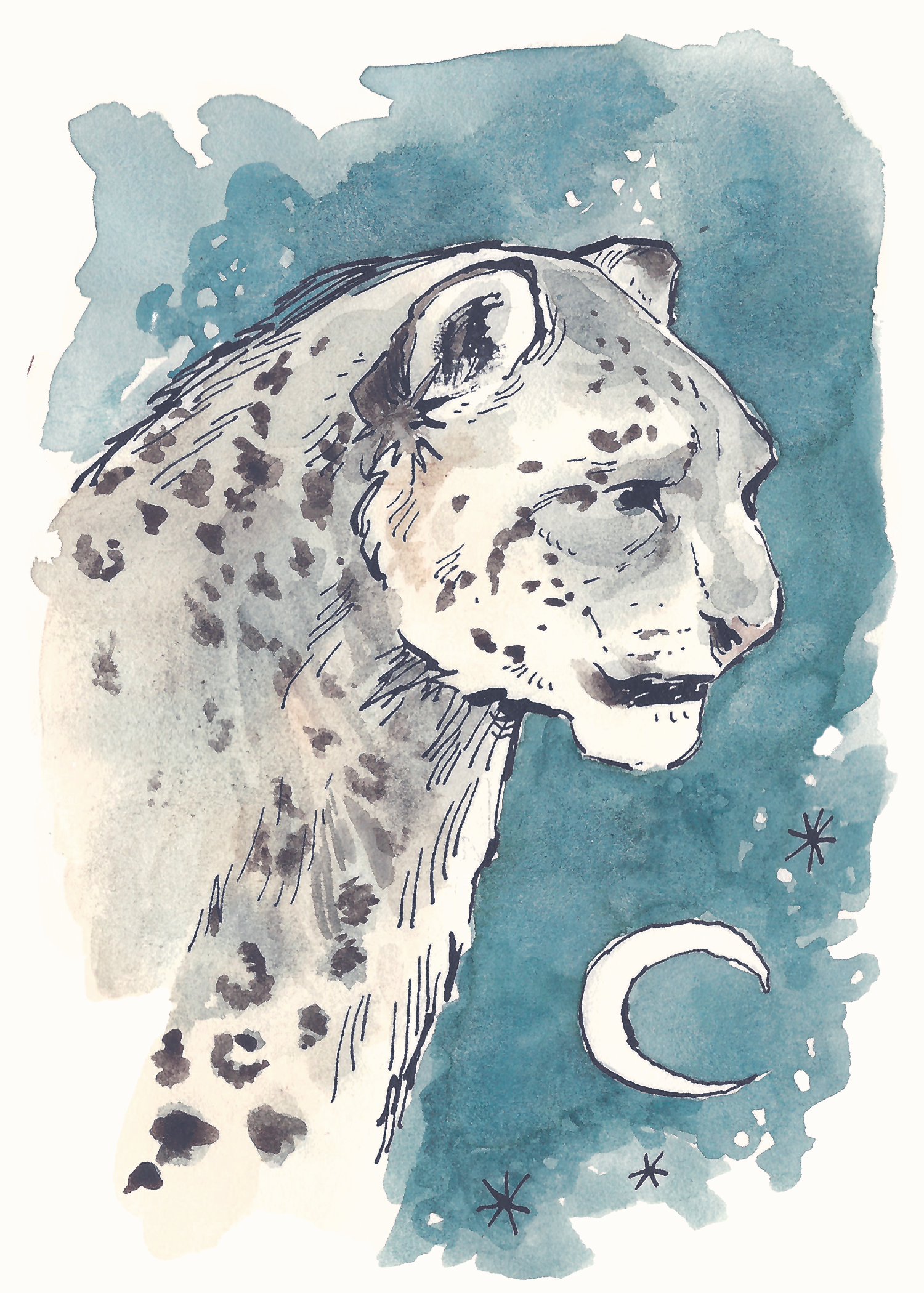 snow+leopard+postcard.png