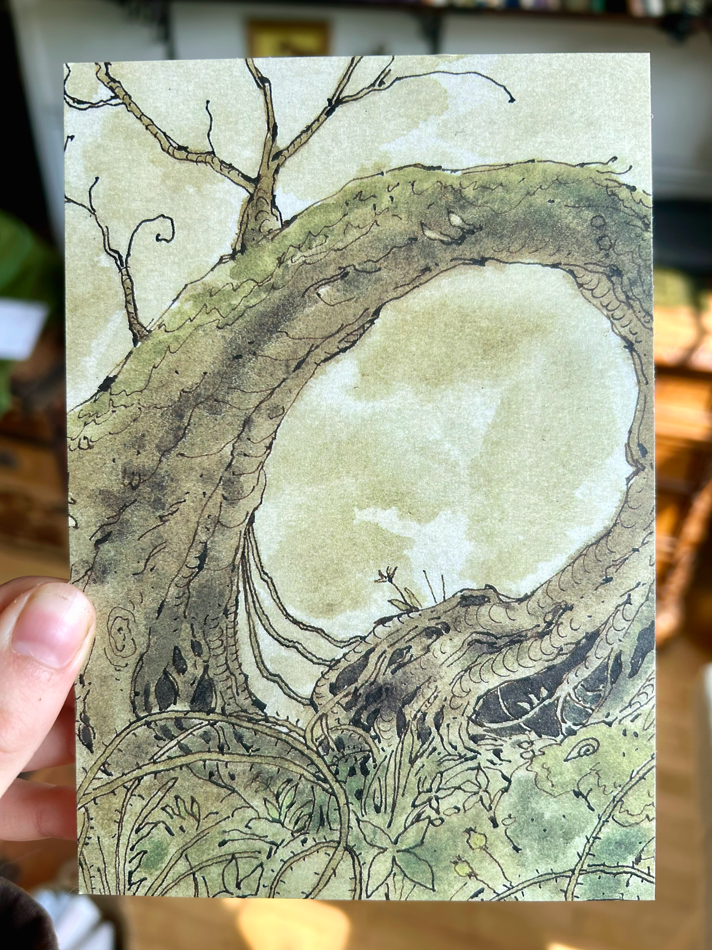 Forest Exit Postcard