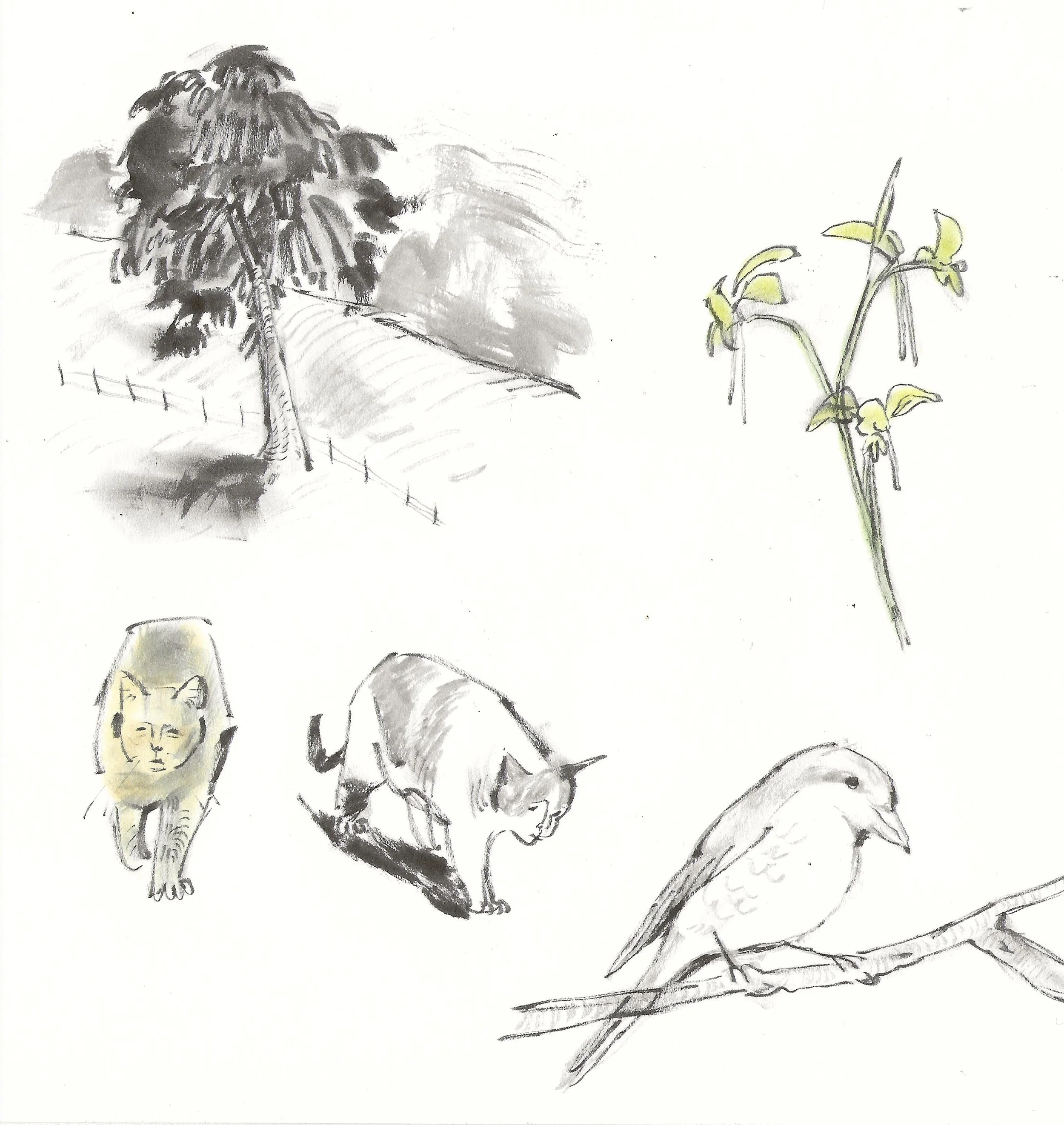 Portfolio Sketch Scan.jpg