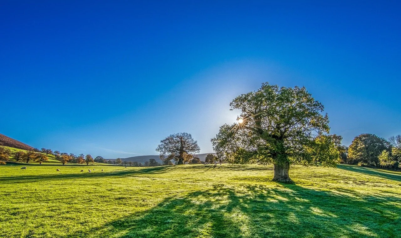 Finding Meaning After Loss: Spiritual Perspectives on Grief