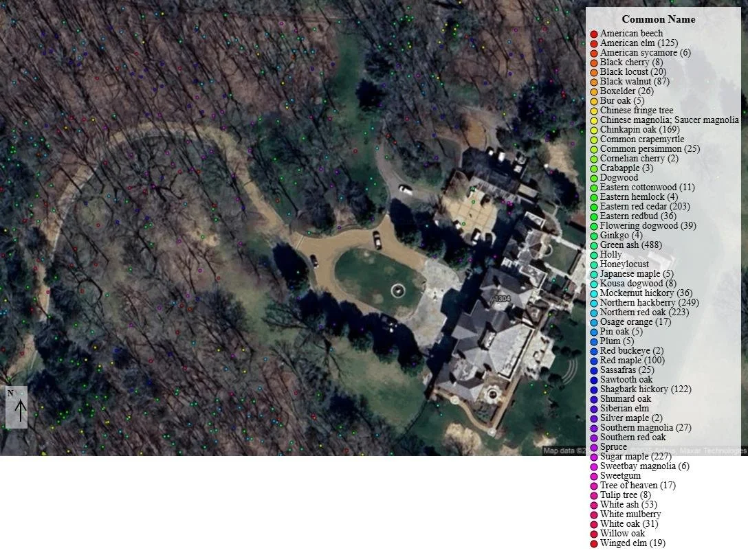 Management to Optimize Tree Benefits in an Urban Setting