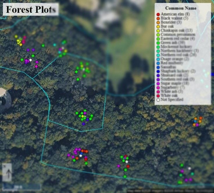Identifying Forest Resources for Greenspaces and Preservation