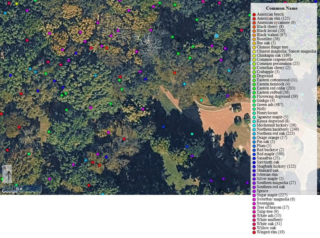 Management to Optimize Tree Benefits in an Urban Setting