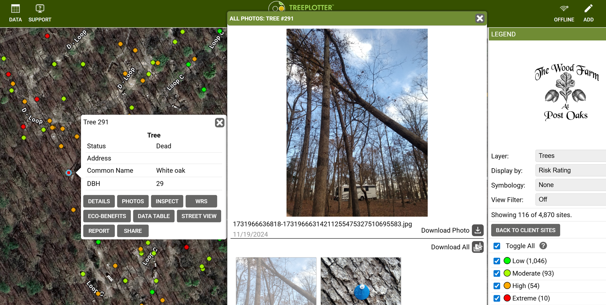Assessing Tree Risk and Developing Comprehensive Risk Management Plans