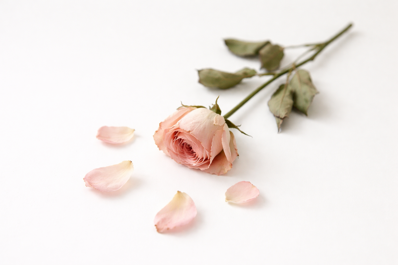 Discover why betrayal is often the doorway to spiritual rescue. Learn how God uses broken trust to reveal truth, heal hearts, and draw us closer to Him.