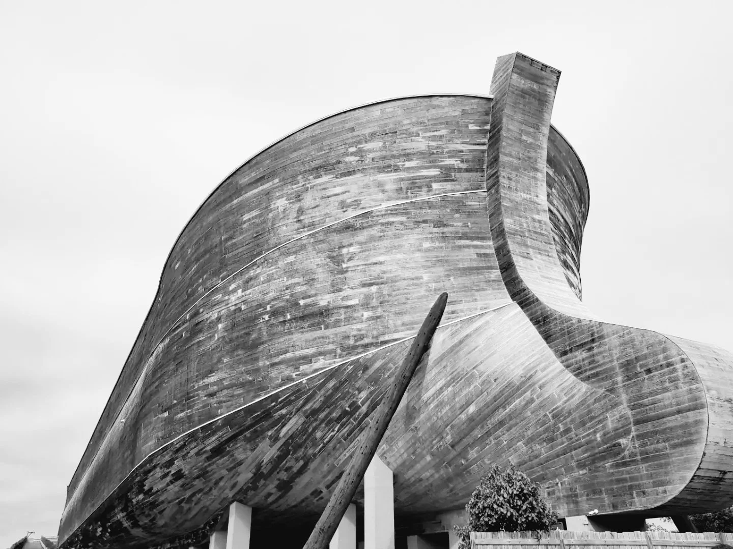 The Ark of Salvation- Get on!